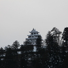 雪の八幡城