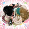 末っ子凛は甘えっ子〜（ｏ´∀｀ｏ）ﾆｺッ　寝ている小雪にくっつきまくり〜(●´ゝ艸･`)｡ﾟ+*ﾌﾟﾌﾟ