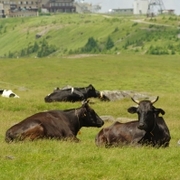 16 01 01から1年間の記事一覧 じゆうちょう 16 01 01から1年間の記事一覧 じゆうちょう