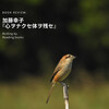 鳥を鳥として描く、鳥の鳥による鳥のための物語――加藤幸子『心ヲナクセ体ヲ残セ』