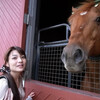 小倉競馬場で有馬記念を楽しみましょう♪