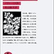 疾風怒濤のノヴァーリス この曲が心地よい
