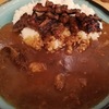 【大阪駅前第3ビル】焼肉屋さんがカレーを作ったらこうなった！カレー&グリル 葡萄匠屋