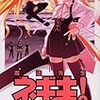 魔法先生ネギま！19 / 赤松健