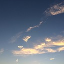 今日も気ままに