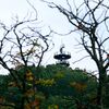 朝熊駅から歩いて行こうと思えば行ける、朝熊山展望台。チャレンジしてみてね