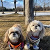 ３連休最終日、賑やかな公園
