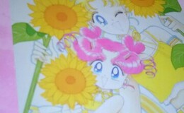 記事を見る