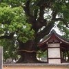 わが歌枕―讃岐（善通寺）