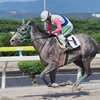 前走同様後方から追い込み水沢でも連続３着