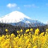 謹賀新年・・