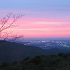 梨園絶景ポイント　夕焼け