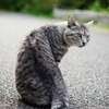 スナップ、高円寺、α7、MINOLTA AF50mm F1.7