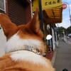 自転車で観音崎公園へ