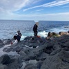 伊豆大島　フカセ釣り厳しかった