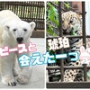 とべ動物園後編～ひたすらピースとジャガーを往復する笑（2024.07.05追加有）