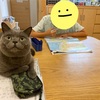 この私が！！！パート始めたよ！！！！！