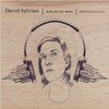 David Sylvian「Died in the Wool」