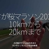 2713食目「さが桜マラソン2025（10kmから20kmまで）」さが桜マラソン2025その③ランラン♪ランニング208本目