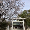 安神社の桜です。