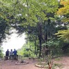 文字通りの駆け込み需要というやつで
