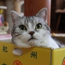 スコクラブ
