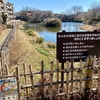 今泉湧水池（神奈川県秦野）