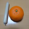 本日も、ウチの巨匠に感謝・3250…