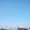伊豆のバリへの旅〜アニマルキングダム編〜9月4日（水）1
