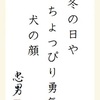 冬の日やちょっぴり勇気犬の顔