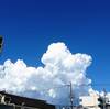 🗯️Flash Diary: あまりに空が青いので2… from 大阪府八尾市河内山本