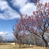 淡路島旅行1日目