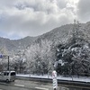 2月の雪