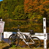 鳩山の野池群（埼玉県）