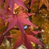 最後の審判を信じる（3）