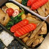 久し振り二人分弁当　鶏とごぼう炒め弁当