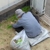 〖神様の成分✨〗令和5年3月の記録⑥《93才👴》復活の証✨