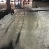 練馬の雪