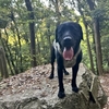 山散歩･･･