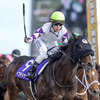 競馬初心者必見☆馬券予想🔥〜フェブラリーS〜サウジカップの裏で熱い一戦！