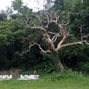 南城市（大里字古堅）：古堅農村公園、古堅の石獅子、共榮泉