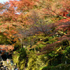 晩秋の京都東山界隈その８