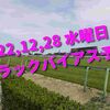 2022,12,28 水曜日 トラックバイアス予想 (中山競馬場、阪神競馬場)