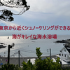 東京から近くシュノーケリングができる海水浴場（荒井浜海水浴場と沖ノ島海水浴場）