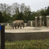 いしかわ動物園に行ってきました！