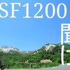 GSF1200を救いたい