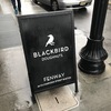 ボストンでもドーナツ　BlackBird Doughnuts