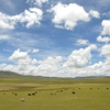 チベット高原とヤク