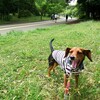 犬可店　駒沢 MIO