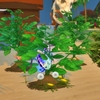 挿し木ができない植物をできるようにするMOD